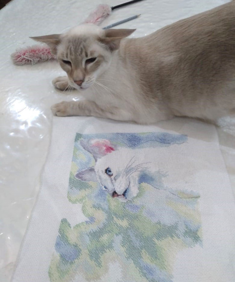 Гелиос и Дон-Кихот — фото от владельца