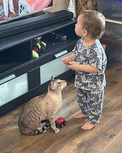 Йоша — фото от владельца