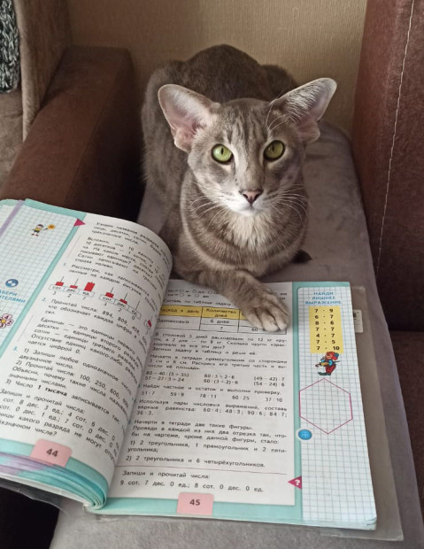 Нектар — фото от владельца