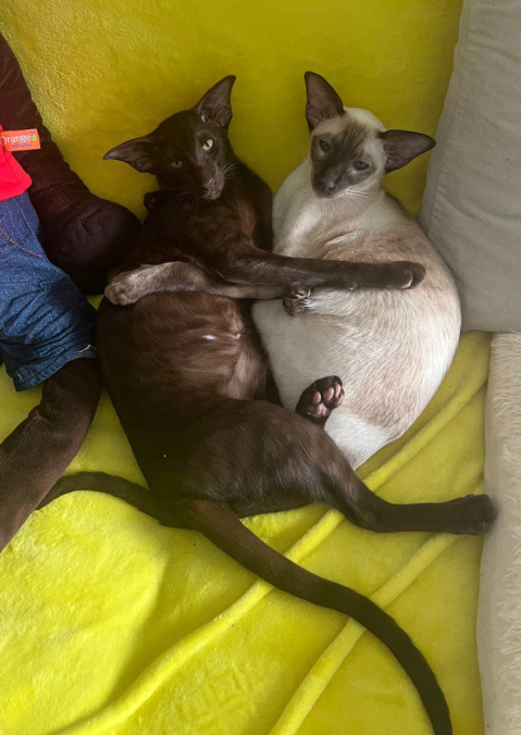 Deity*RU — фото от владельцев