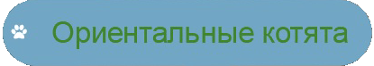питомник ориентальных кошек