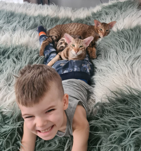 Назарет — фото от владельца